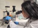 Una investigadora analiza las muestras de un cribado en un laboratorio