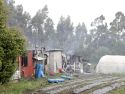 Caballos Sada incendio