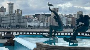 Gaviota posada en el brazo de uno de los surfistas de la fuente de A Coruña