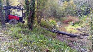 Tareas de limpieza en el cauce del río Mero a su paso por Cambre