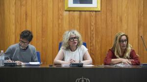 Diana Piñeiro, en el centro, durante un pleno municipal