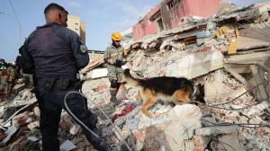 Un rescatista del Ejercito de México junto a su perro trabajan en un edificio afectado por el terremoto en La Guaira