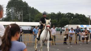El Concello de Curtis celebró una nueva edición de su tradicional feria dedicada a los caballos con actividades como las pruebas de andadura, concurso morfológico o espectáculos ecuestres