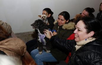 Perros, gatos y otros animales estuvieron presentes