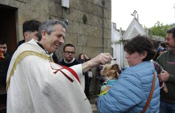 Misa y bendición de perros en las fiestas de San Outelo, Celas de Peiro