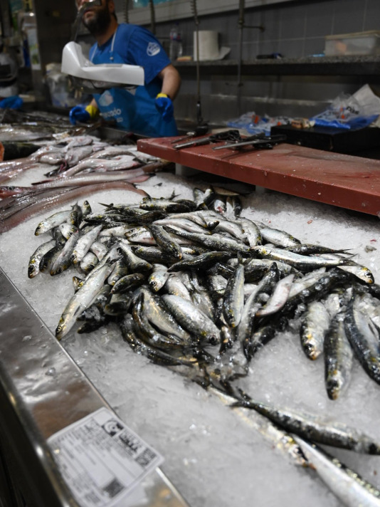 Sardinas en la plaza de Lugo @Pedro Puig (2)