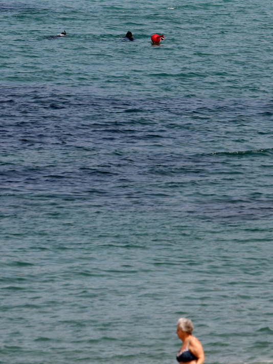 Preparativos de San Juan en A Coruña @Quintana (8)