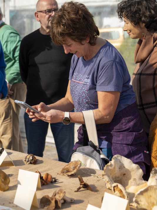 Exposición de setas en Teixeiro @Carlota Blanco (52)