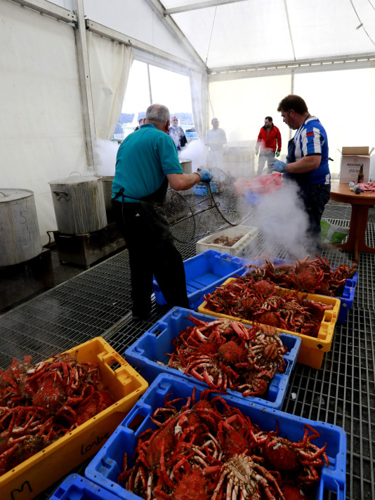 Cada Noviembre se celebra en el Puerto de Lorbé la Fiesta de la Centolla (14)