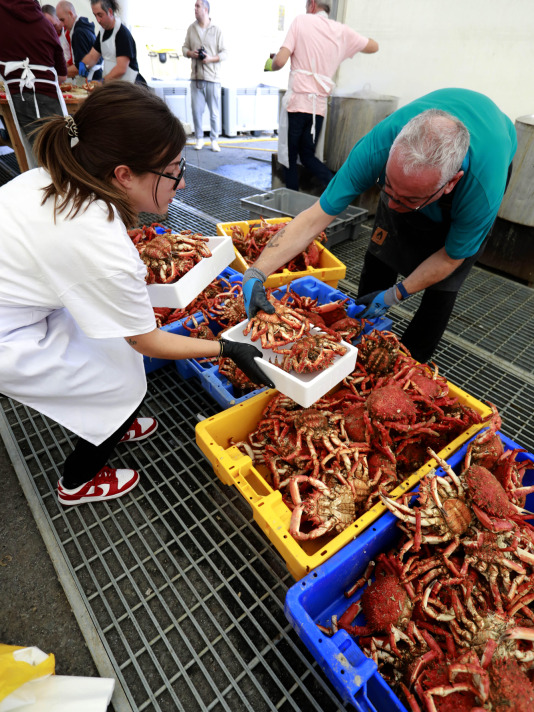 Cada Noviembre se celebra en el Puerto de Lorbé la Fiesta de la Centolla (34)
