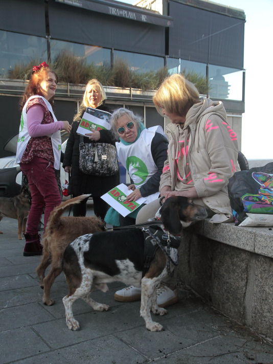 Recorrido de Pacma por el Paseo Marítimo (9)