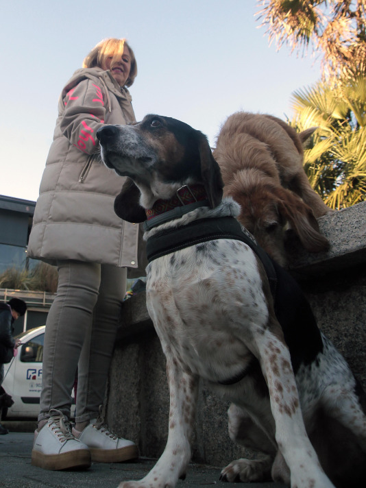 Recorrido de Pacma por el Paseo Marítimo (6)