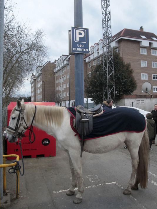 Cabalgata en A Barcala @Quintana (18)