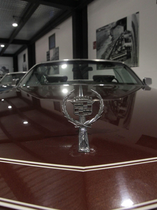 Museo del automovil en Arteixo (82)