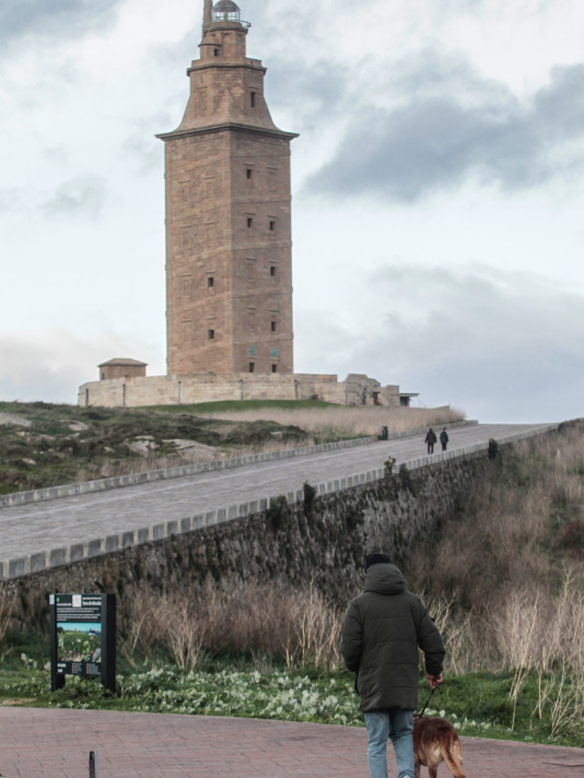 Viento por el temporal Éowyn en A Coruña @ Quintana (10)