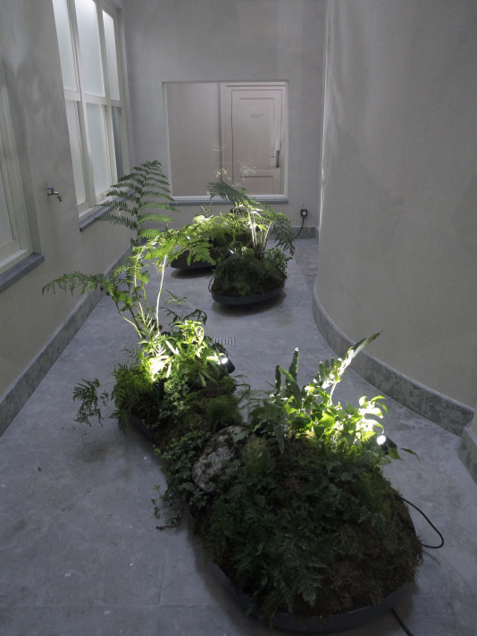 Así es por dentro el cine Avenida reformado por Abanca para convertirse en su Espacio Avenida en A Coruña @ Quintana (33)