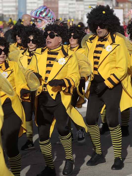 Desfile de comparsas 2025 en A Coruna (71)