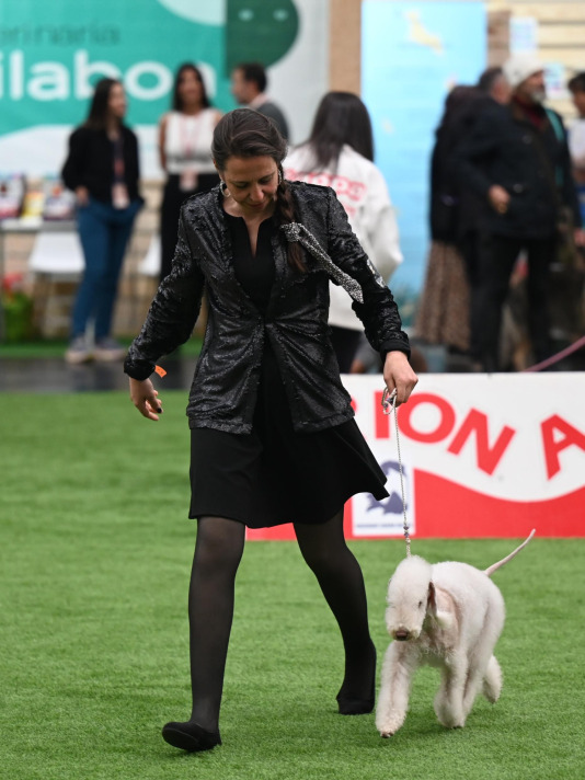 Concurso de belleza en Pata Pata @Pedro Puig (11)