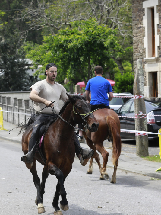 Feira das Flores de Vilarmaior (10)