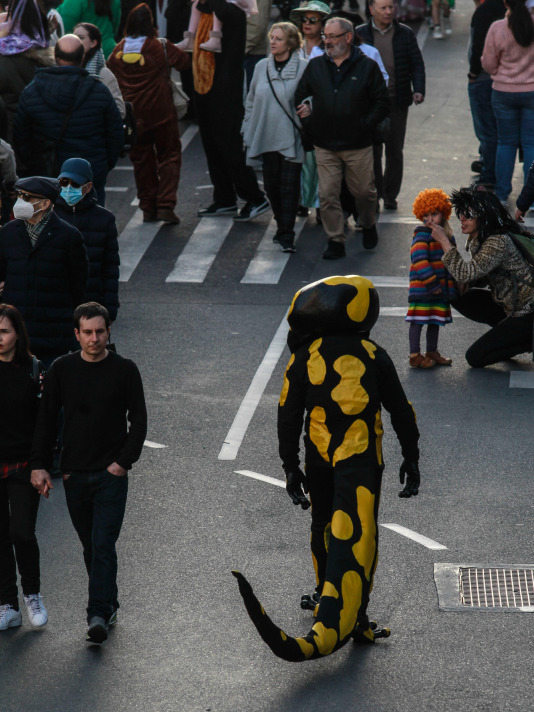 Desfile de Carnaval @Quintana (11)