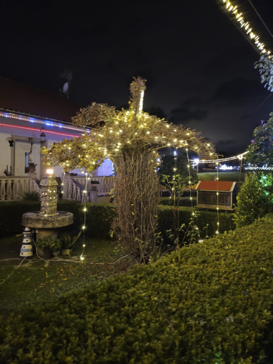 Alumbrado navideño en Adragonte