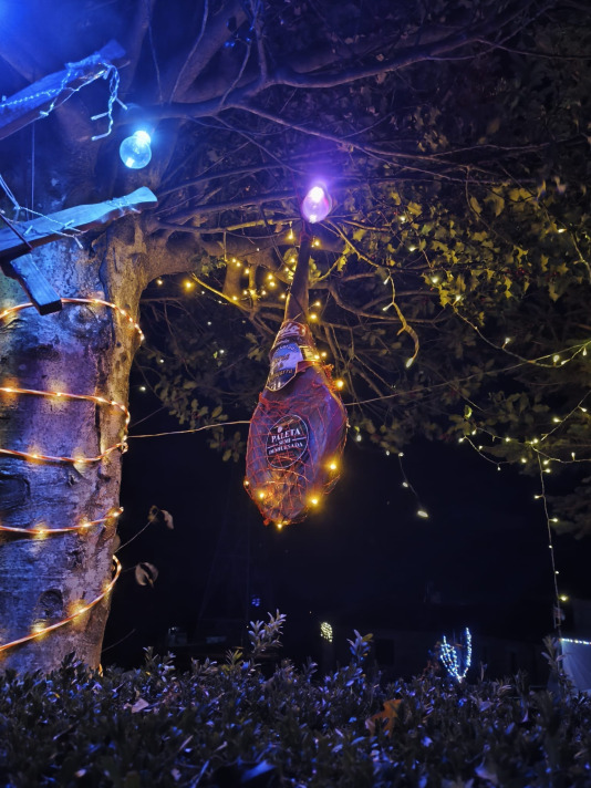 Alumbrado navideño en Adragonte