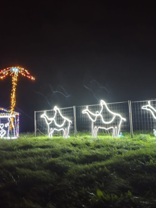 Alumbrado navideño en Adragonte