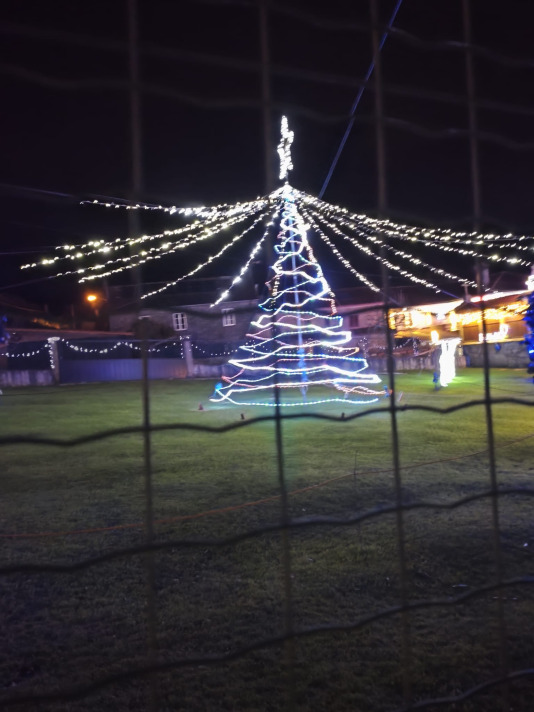 Alumbrado navideño en Adragonte