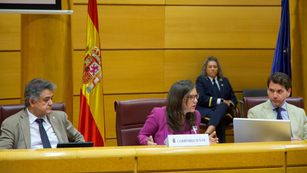 Inés Rey, esta tarde, en el Senado