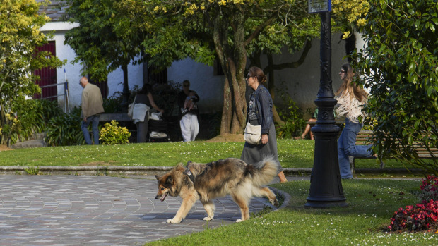 El ideal gallego