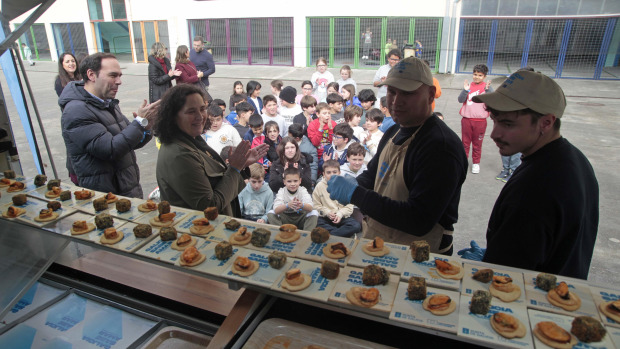 El ideal gallego
