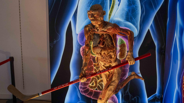 La exposición 'Human Bodies' de Marineda City