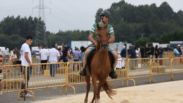 El Concello de Curtis celebró una nueva edición de su tradicional feria dedicada a los caballos con actividades como las pruebas de andadura, concurso morfológico o espectáculos ecuestres
