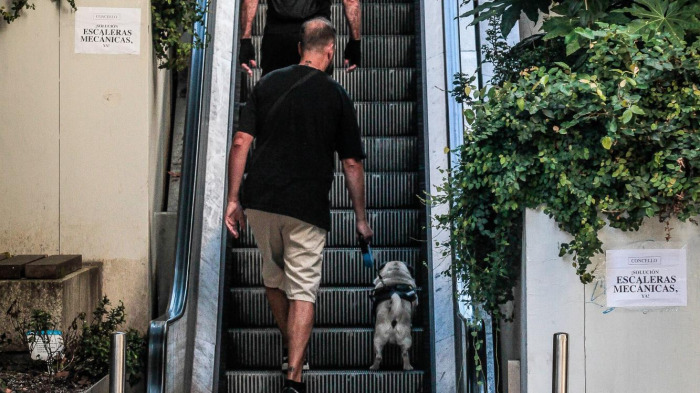 Las escaleras de Maestro Clavé