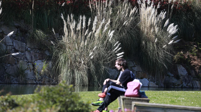 Dos personas disfrutan del sol en el parque Adolfo Suárez, invadido por plumachosHierba de la pampa