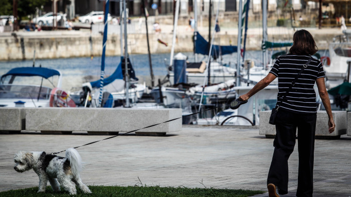 Un perro con su dueña