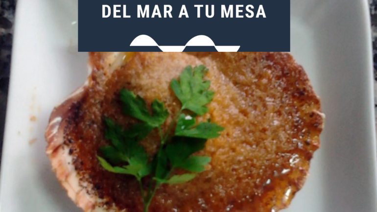 Receta de vieiras a la gallega