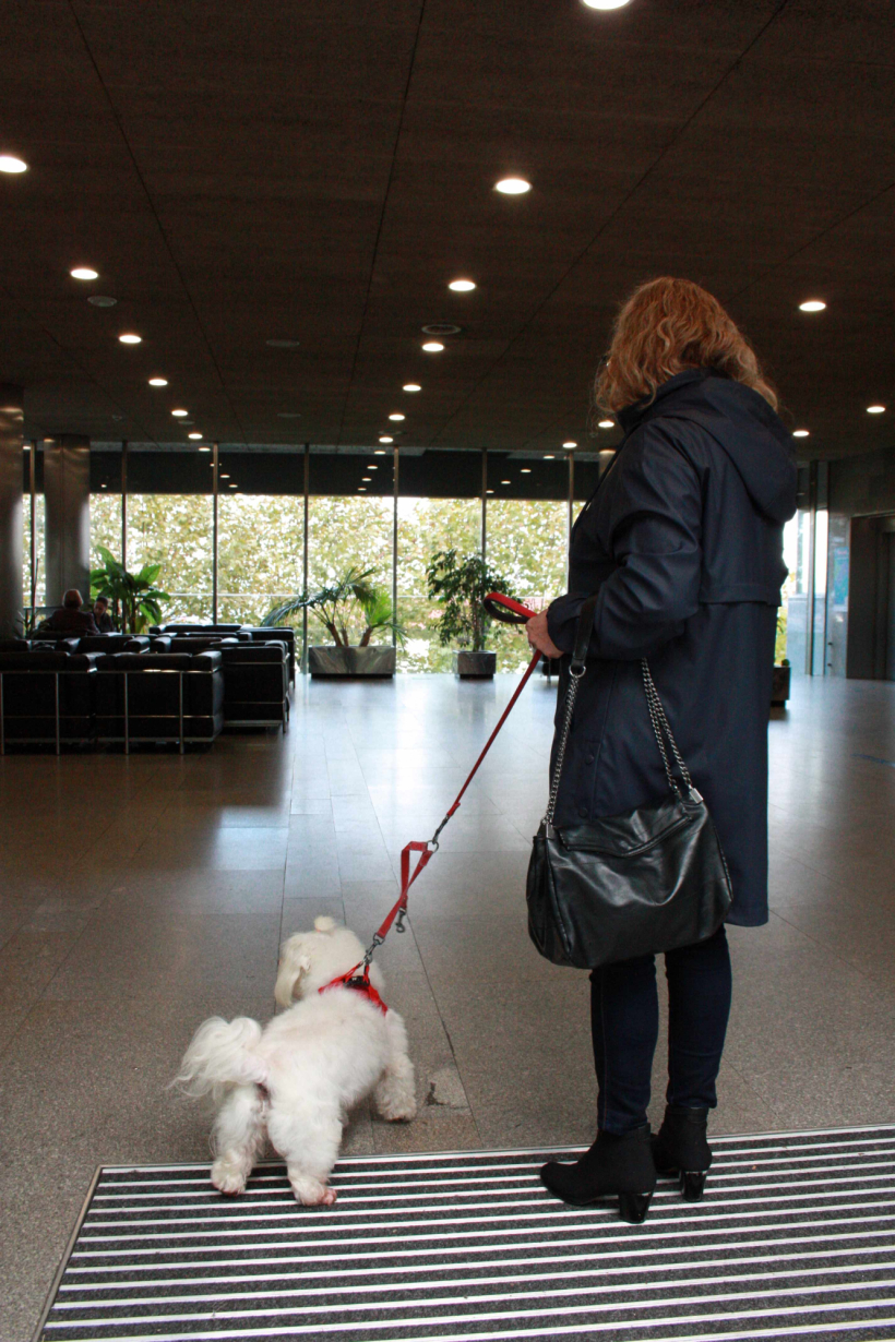 Programa 'Coa túa mascota' con el que los pacientes de paliativos del Chuac pueden compartir tiempo con sus mascotas