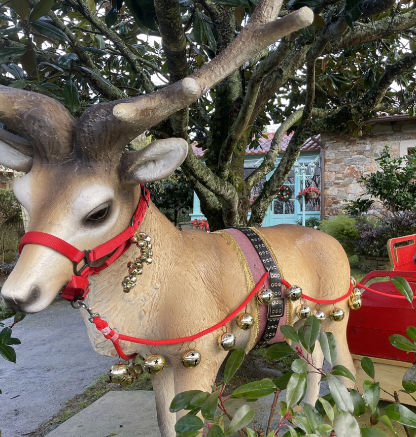 Reno en el jardín del obrador