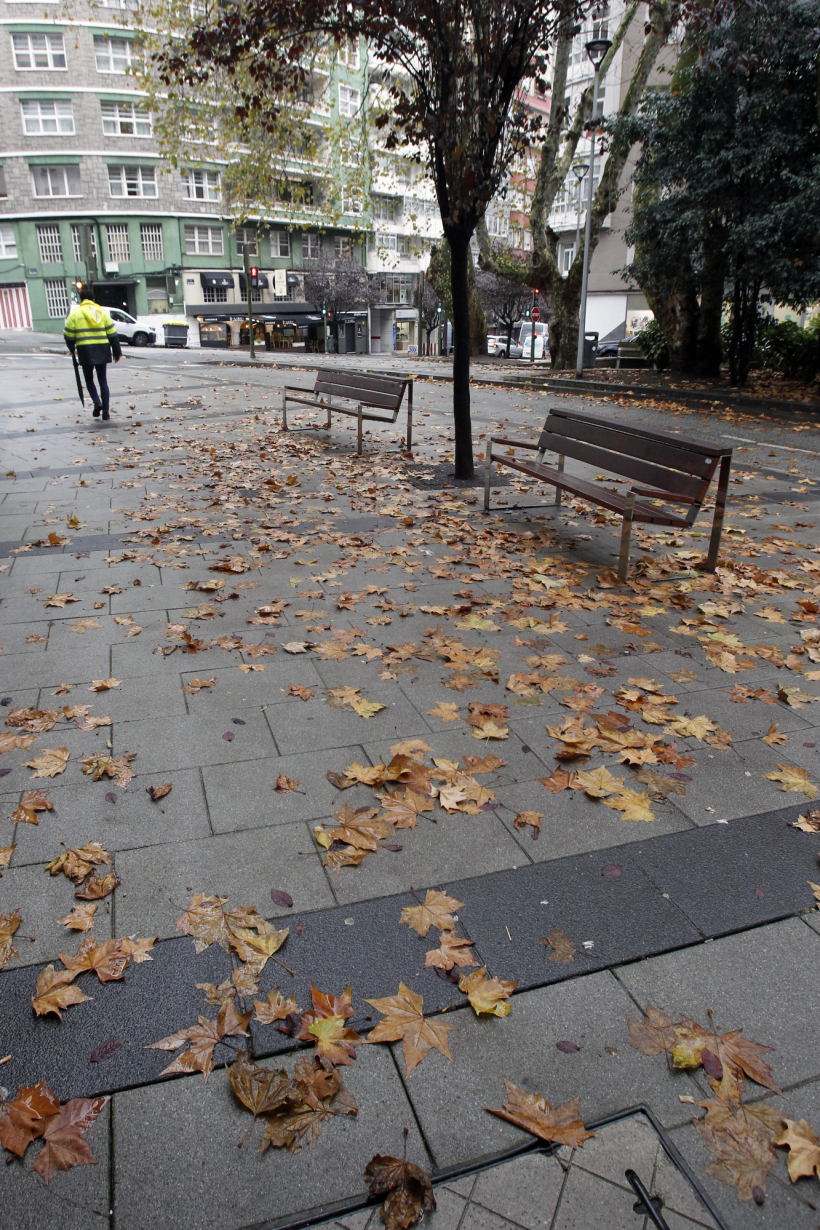 Las hojas cubrieron todo el entorno de la Plaza del Libro