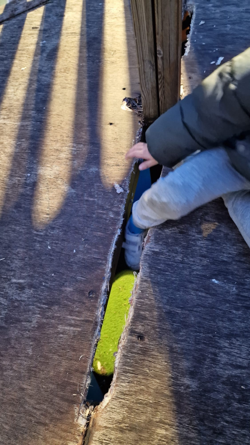 Desperfectos en parques de O Temple
