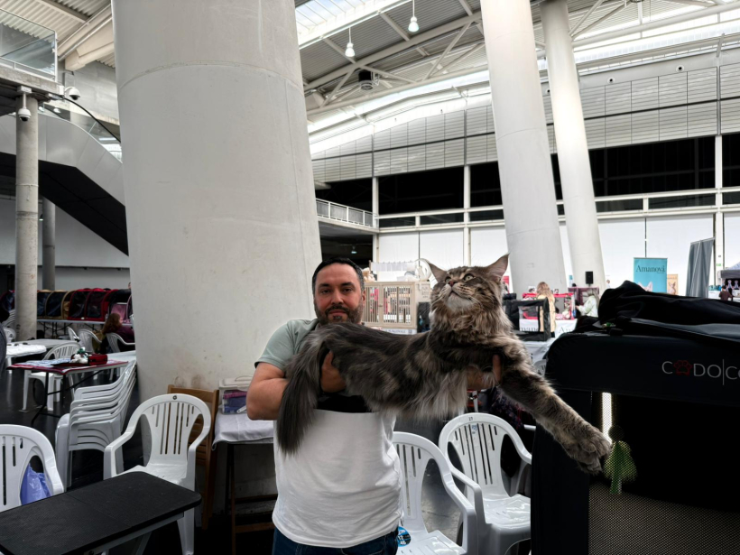 Alejandro Santalla y su maine coon, Eros