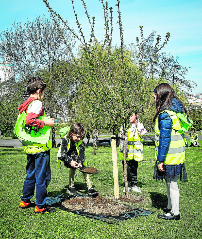 Quintana. Plantación de árboles en San Diego con niños del colegio San Lence y con Inés Rey