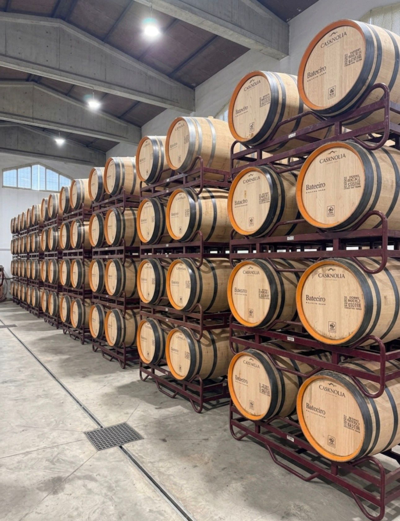 vinos 546