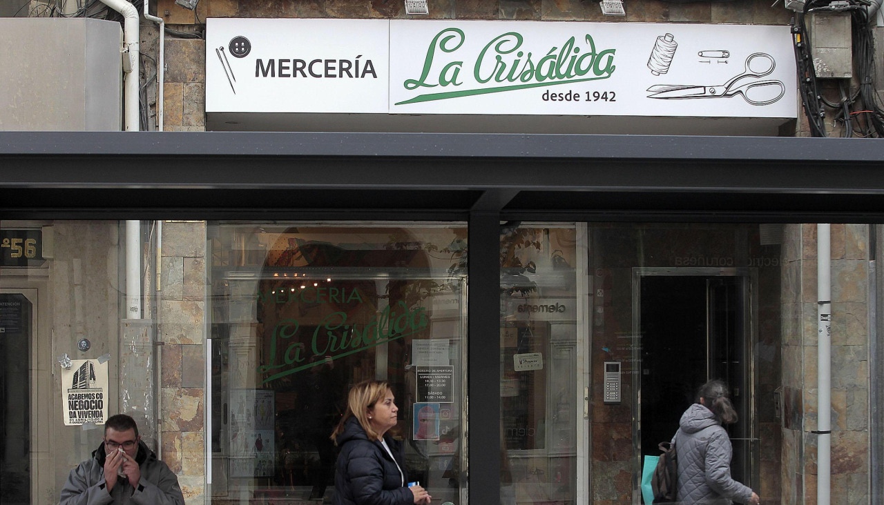 Crisalida 7 13202671