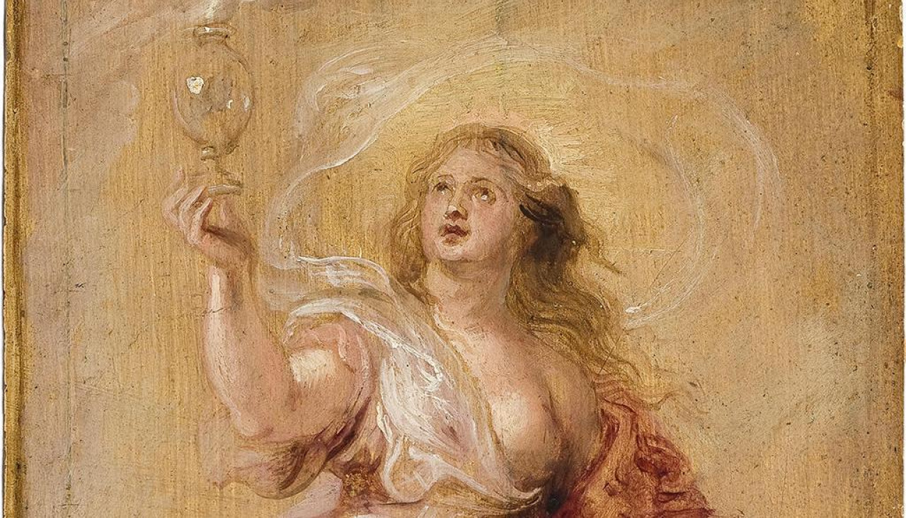 Aurora rubens 16481786