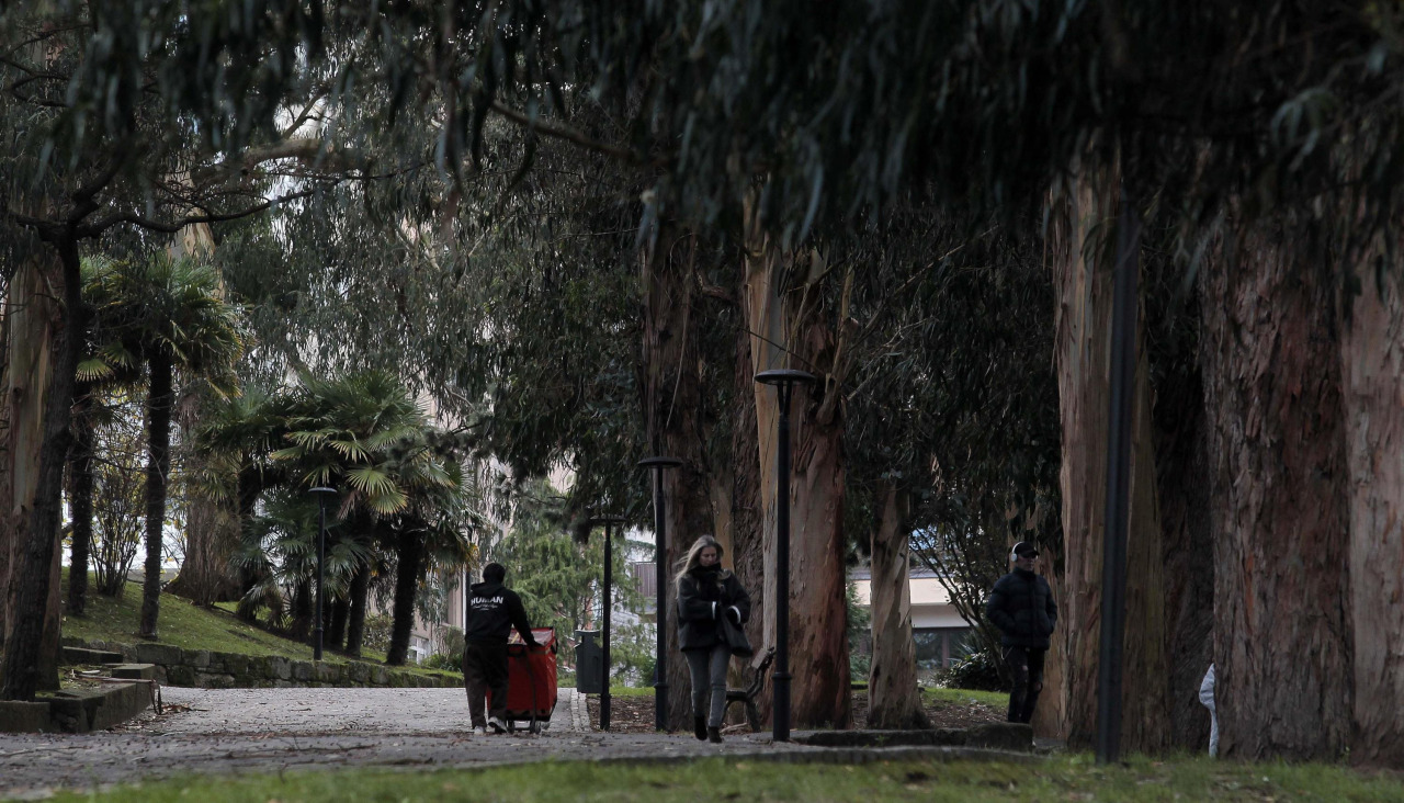 Parque de Santa Margarita