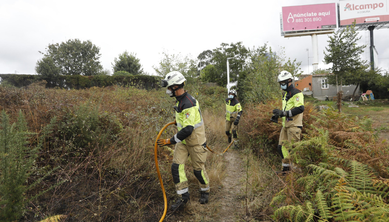 Una brigada forestal en Alfonso Molina