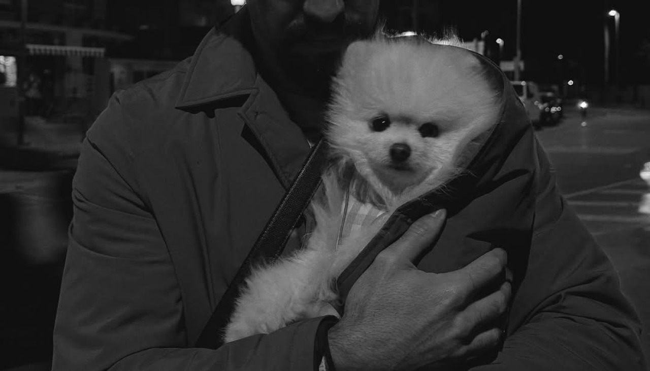 Mario Casas con Romeo, el perro de Melyssa Pinto