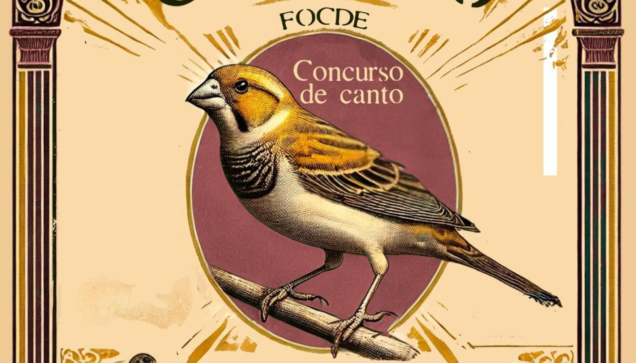 CARTEL CULLEREDO - El Centro Municipal de Formación e Emprego Pablo Picasso acogerá el XLVIII Campeonato Gallego-Concurso de Canto de Canarios